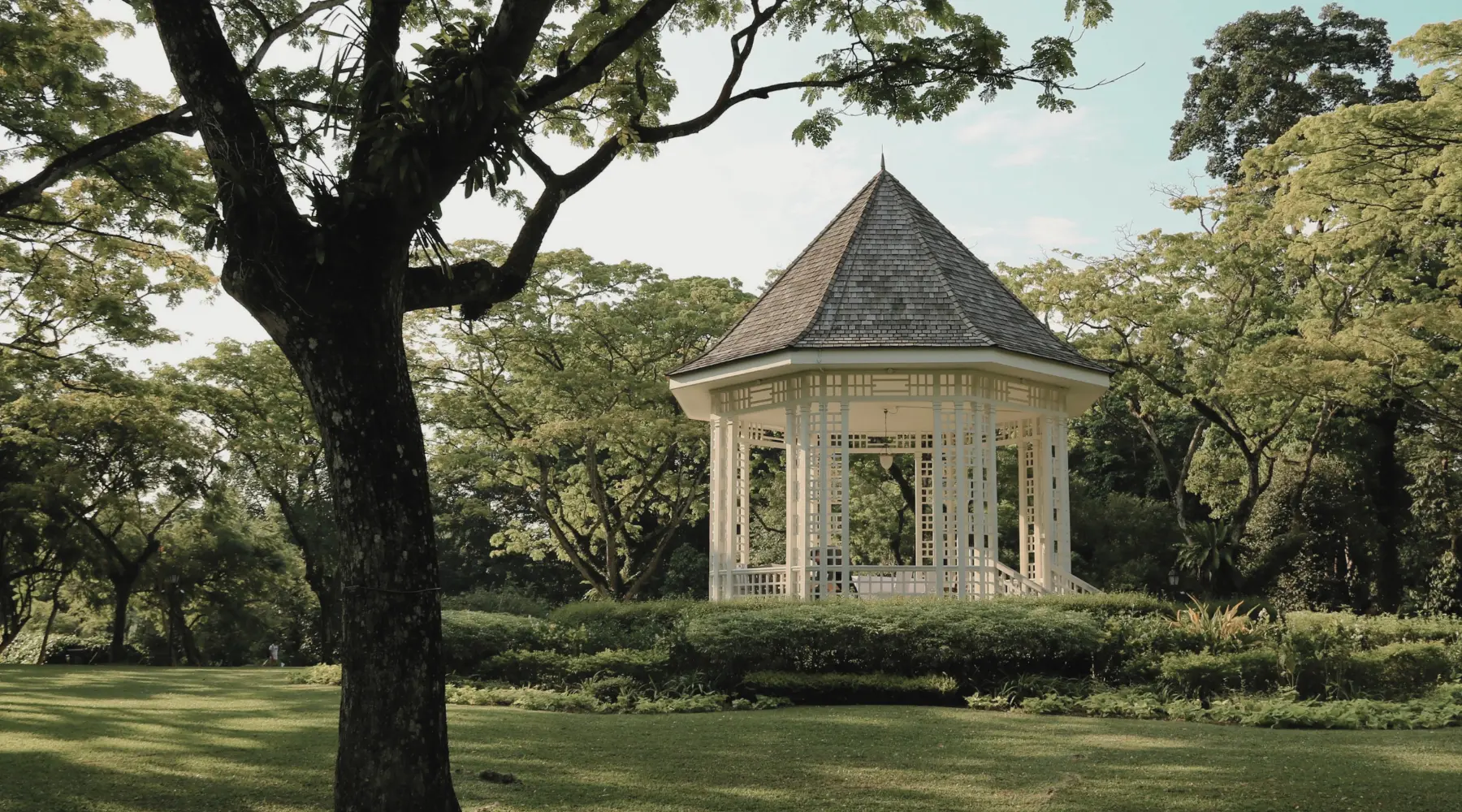 Botanic Gardens, a popular destination during a city tour in Singapore with SARO.