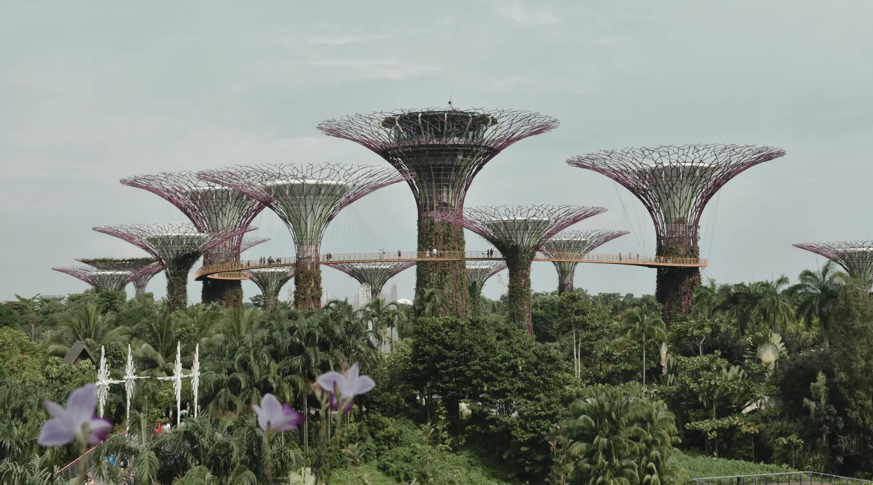 Gardens By The Bay, a popular destination during a city tour in Singapore with SARO.