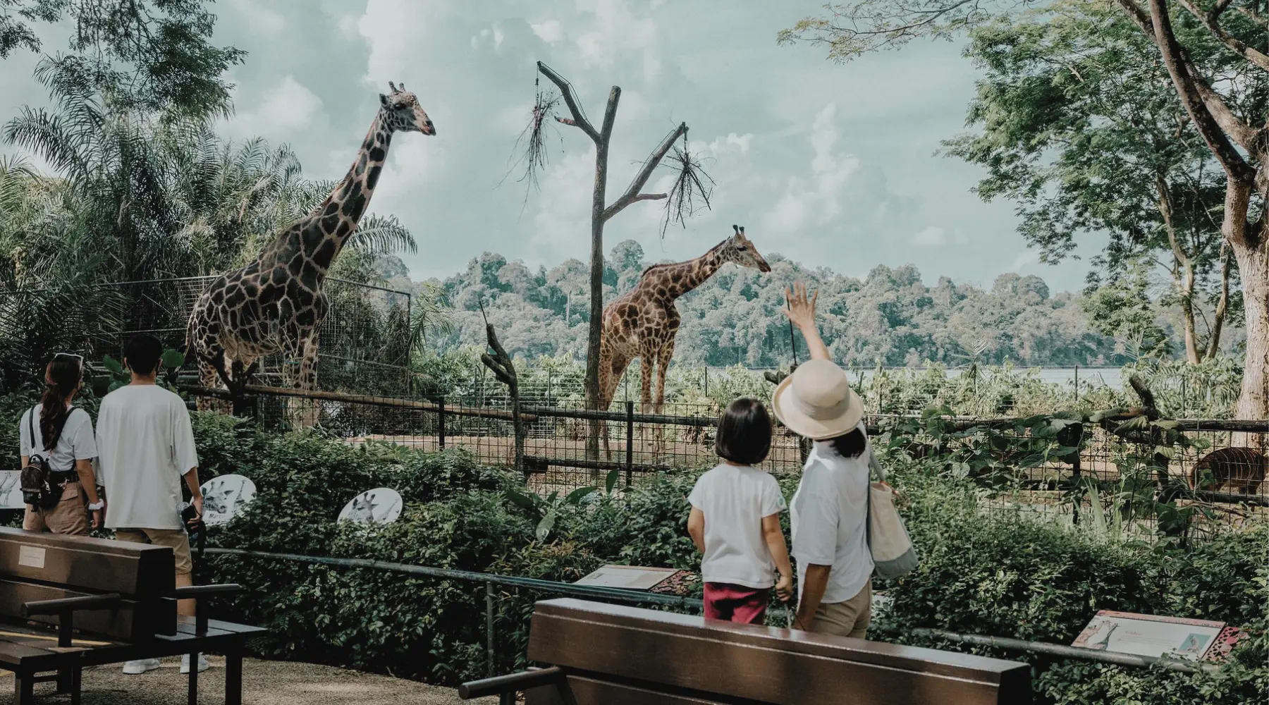 Mandai Wildlife Reserve, a popular destination during a city tour in Singapore with SARO.
