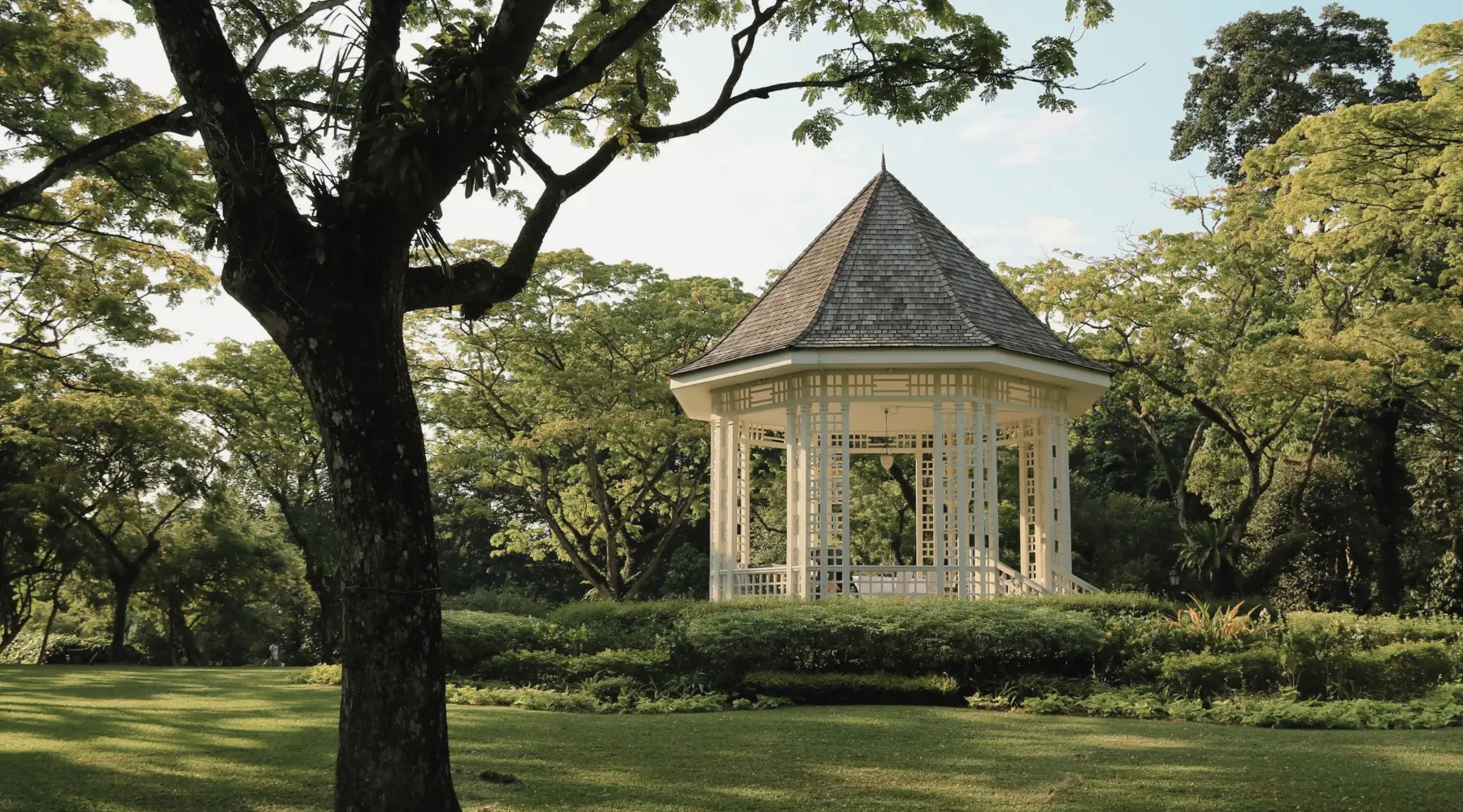 Botanic Gardens, a popular destination during a city tour in Singapore with SARO.