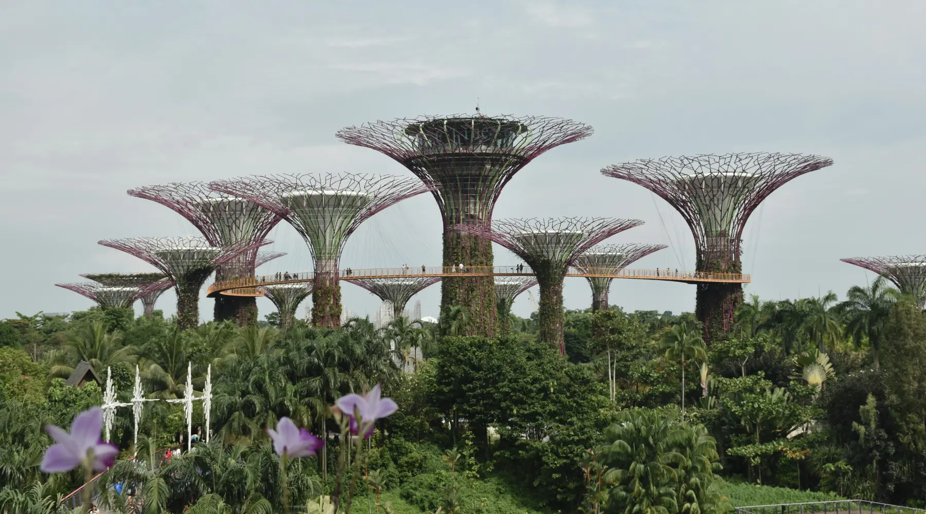 Gardens By The Bay, a popular destination during a city tour in Singapore with SARO.