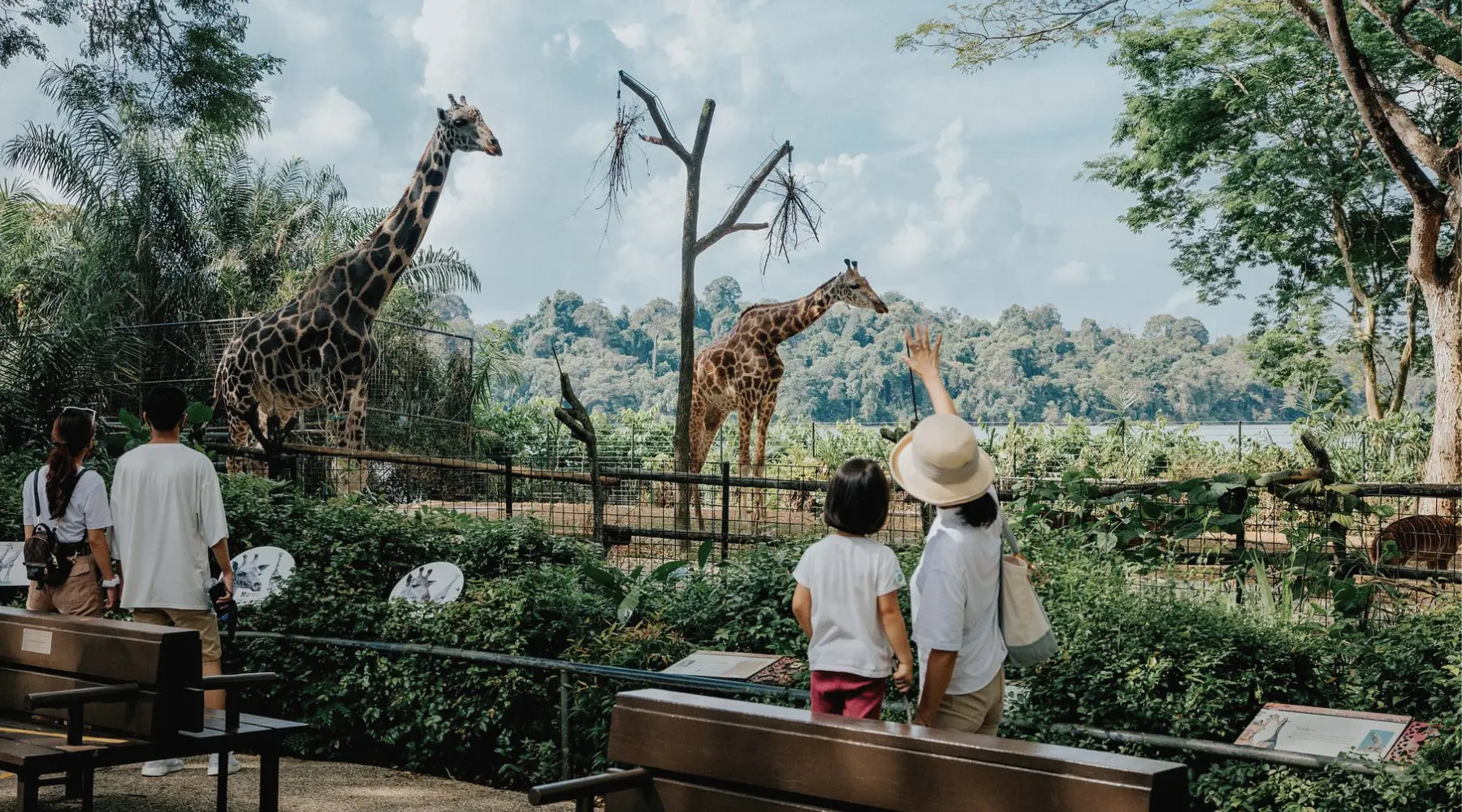Singapore Zoo, a popular destination during a city tour in Singapore with SARO.